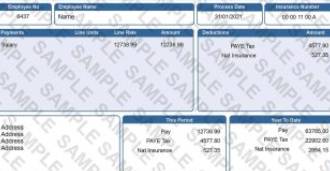Fake Bank Statement Editing and Creation