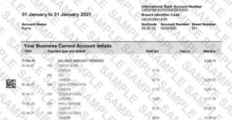 Fake Pay Stubs and Payslips Editing